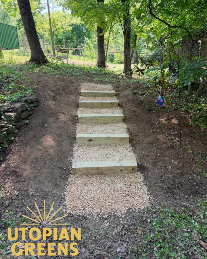 The same slope with new timber steps set in gravel, after