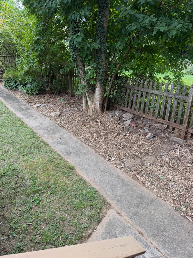 The same stretch of yard, cleared out