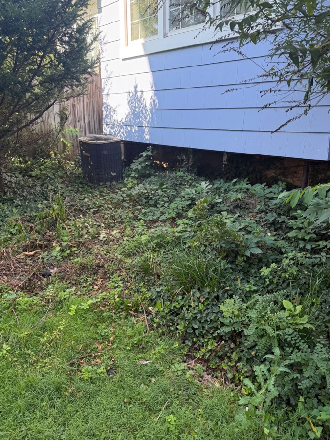 Side of a house with overgrown plantings