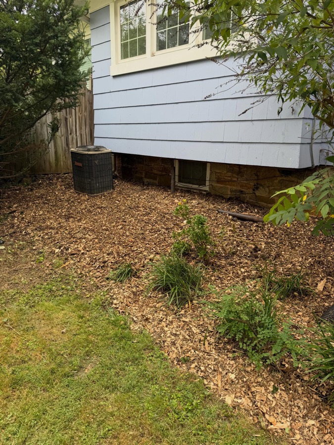 The same side of the house, cut back and tidy