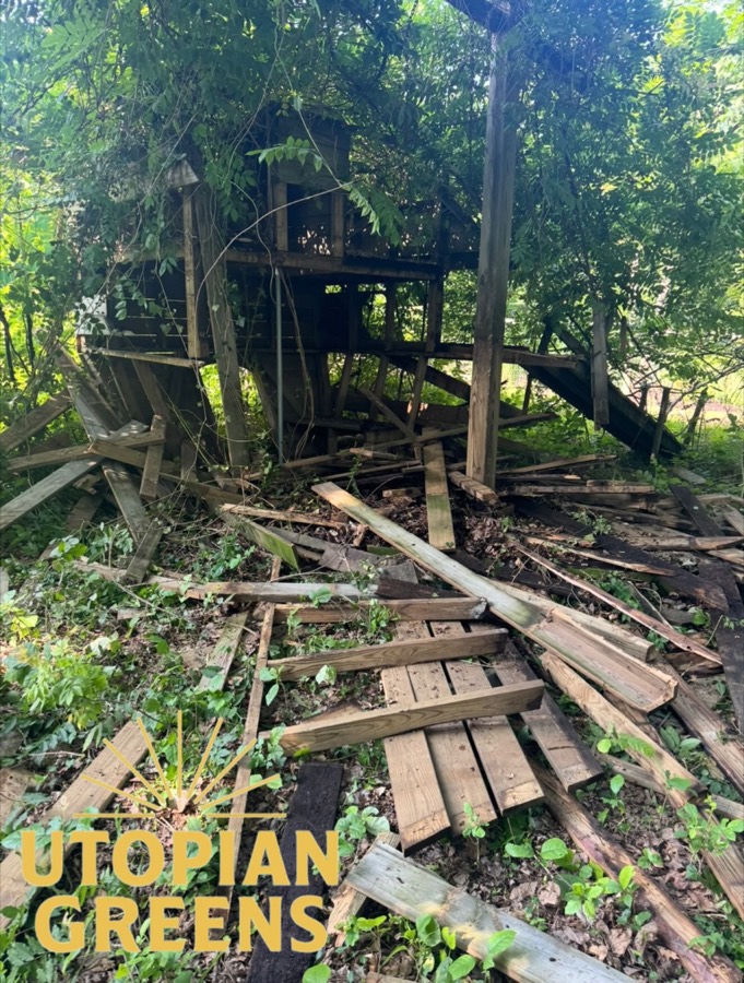 The structure torn down into a pile of lumber