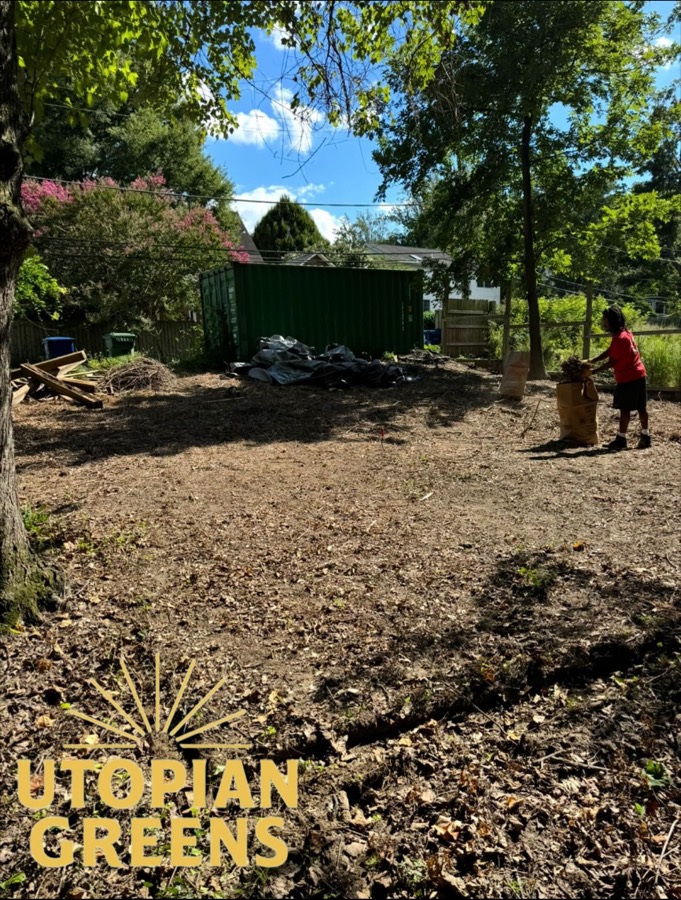 A bare, cleared lot with a green shipping container in the back