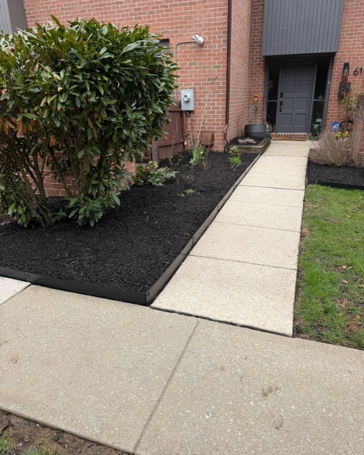 The same bed with fresh black mulch and a metal edge