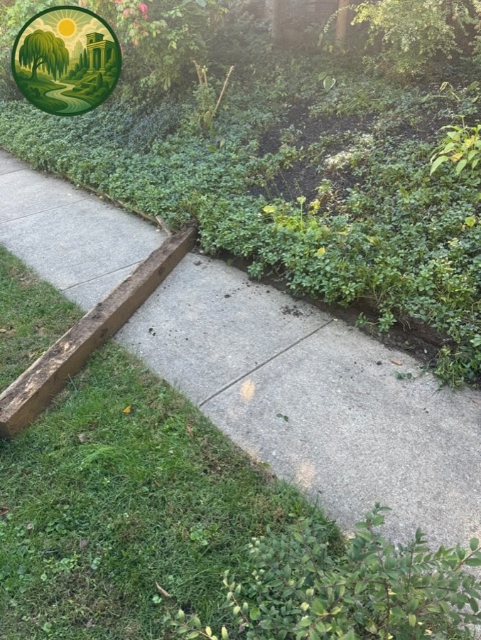Rotted wooden timbers pulled up beside a sidewalk